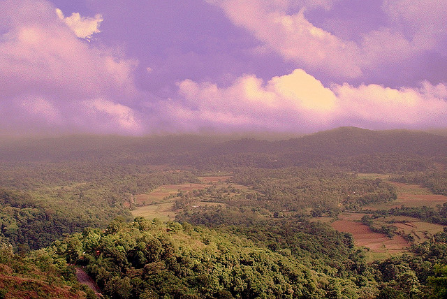 Suszarnia - Lubelskie